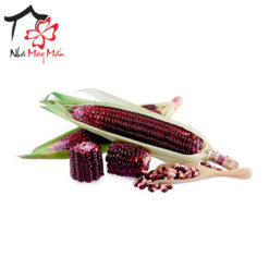 Red Queen Corn from Dak Nong